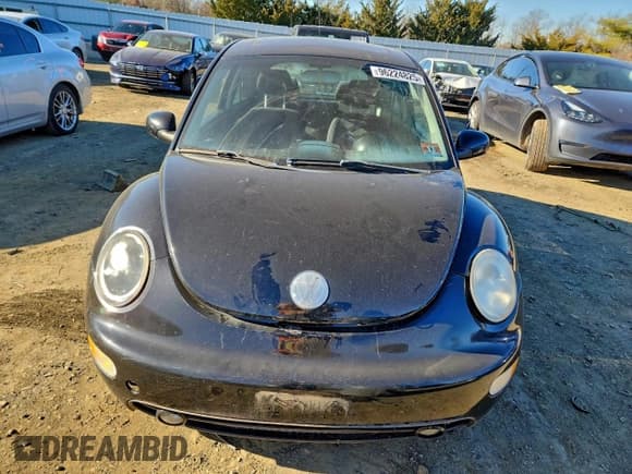 ✅ 2003 Volkswagen Beetle GLS • VIN: 3VWCK21C43M426977 • Lot: 96224825. Listed on Copart with Not provided. Free auction sales archive from the USA and detailed vehicle history report at DreamBid. Image 5.