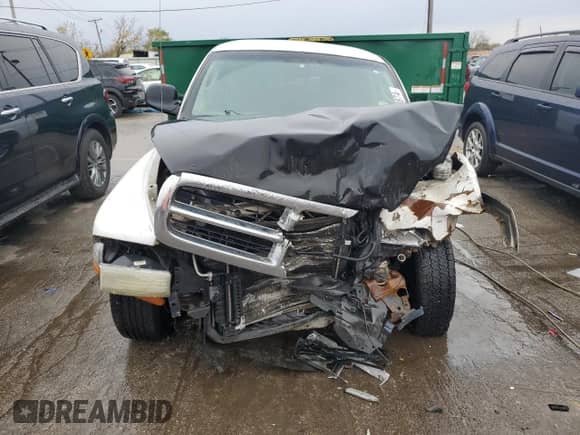 2003 Dodge Dakota SLT with VIN 1D7HL42X33S151165, listed as a Copart auction lot 78040874 with 84,766 mi miles and Salvage title. Bid and sale history available at DreamBid. Image 5.