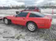 1994 Chevrolet Corvette with VIN 1G1YY22P1R5117824, listed as a Copart auction lot 42598895 with 47,882 mi miles and Salvage title. Bid and sale history available at DreamBid. Image 2.