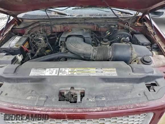 ✅ 1999 Ford F-150 • VIN: 1FTRX17W7XNA48501 • Lot: 95333865. Wystawiony na Copart z przebiegiem 261 215 mil. Bezpłatny archiwum sprzedaży aukcyjnych z USA i szczegółowy raport historii pojazdu na DreamBid. Zdjęcie 11.