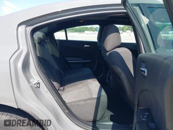 ✅ 2019 Dodge Charger SXT • VIN: 2C3CDXBG1KH720222 • Lot: 43245366. Listed on IAAI with 109,424 mi. Free auction sales archive from the USA and detailed vehicle history report at DreamBid. Image 8.