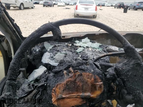 ✅ 2001 Ford F-150 XL • VIN: 1FTRX07W11KE88569 • Лот: 44734355. Опубликован ранее на Copart с пробегом Не указан. Бесплатный доступ к архиву аукционных продаж из США и подробный отчёт об истории автомобиля на DreamBid. Изображение 9.