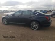 ✅ 2025 Cadillac CT5 Premium Luxury • VIN: 1G6DS5RW8S0102006 • Lot: 81751655. Listed on Copart with 8,295 mi. Free auction sales archive from the USA and detailed vehicle history report at DreamBid. Image 2.