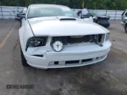 ✅ 2007 Ford Mustang GT Deluxe • VIN: 1ZVHT85HX75318578 • Lot: 42740222. Wystawiony na IAAI z przebiegiem 94 114 mil. Bezpłatny archiwum sprzedaży aukcyjnych z USA i szczegółowy raport historii pojazdu na DreamBid. Zdjęcie 6.