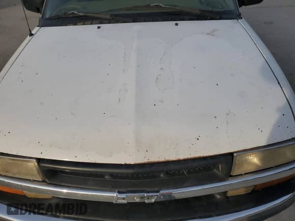 1999 Chevrolet Blazer LT с VIN 1GNDT13W1X2163194, выставлен на аукционе Copart как лот 82897414 с пробегом Не указан миль и Списание • Salvage title. История ставок и продаж доступна на DreamBid. Изображение 12.