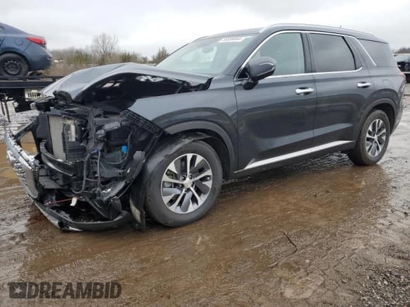 ✅ 2020 Hyundai Palisade SEL • VIN: KM8R2DHE2LU172290 • Лот: 86586864. Опубликован ранее на Copart с пробегом 46 527 миль. Бесплатный доступ к архиву аукционных продаж из США и подробный отчёт об истории автомобиля на DreamBid. Изображение 1.