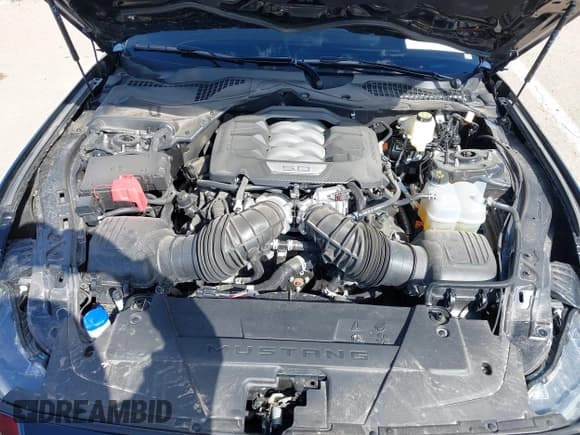 ✅ 2025 Ford Mustang GT • VIN: 1FA6P8CF8S5410206 • Lot: 43339233. Listed on IAAI with 3,597 mi. Free auction sales archive from the USA and detailed vehicle history report at DreamBid. Image 10.