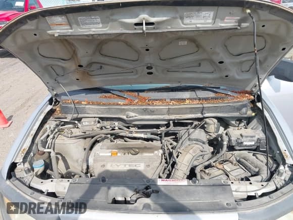 ✅ 2005 Honda Element LX • VIN: 5J6YH28375L033003 • Лот: 43150397. Опубликован ранее на IAAI с пробегом 227 404 миль. Бесплатный доступ к архиву аукционных продаж из США и подробный отчёт об истории автомобиля на DreamBid. Изображение 10.