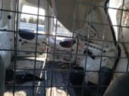 ✅ 2010 Ford Transit Connect XL • VIN: NM0LS7CN1AT008547 • Lot: 85105994. Wystawiony na Copart z przebiegiem 400 171 mil. Bezpłatny archiwum sprzedaży aukcyjnych z USA i szczegółowy raport historii pojazdu na DreamBid. Zdjęcie 10.