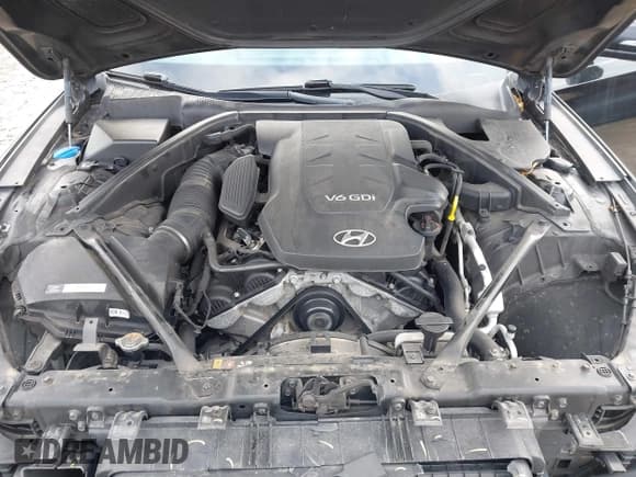 ✅ 2015 Hyundai Genesis 3.8L • VIN: KMHGN4JE4FU017852 • Lot: 41227267. Wystawiony na IAAI z przebiegiem 99 296 mil. Bezpłatny archiwum sprzedaży aukcyjnych z USA i szczegółowy raport historii pojazdu na DreamBid. Zdjęcie 10.