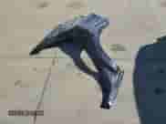 2023 Chevrolet Bolt EUV Premier с VIN 1G1FZ6S02P4125464, выставлен на аукционе Copart как лот 71265785 с пробегом 30 756 миль миль и Списание • Salvage title. История ставок и продаж доступна на DreamBid. Изображение 13.