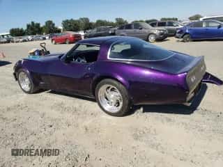 1981 Chevrolet Corvette с VIN 1G1AY8766BS429634, выставлен на аукционе Copart как лот 61617975 с пробегом 36 382 миль миль и Списание • Salvage title. История ставок и продаж доступна на DreamBid. Изображение 2.
