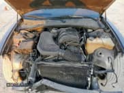 ✅ 2020 Dodge Charger SXT • VIN: 2C3CDXBGXLH125953 • Лот: 80887565. Опубликован ранее на Copart с пробегом 91 635 миль. Бесплатный доступ к архиву аукционных продаж из США и подробный отчёт об истории автомобиля на DreamBid. Изображение 12.