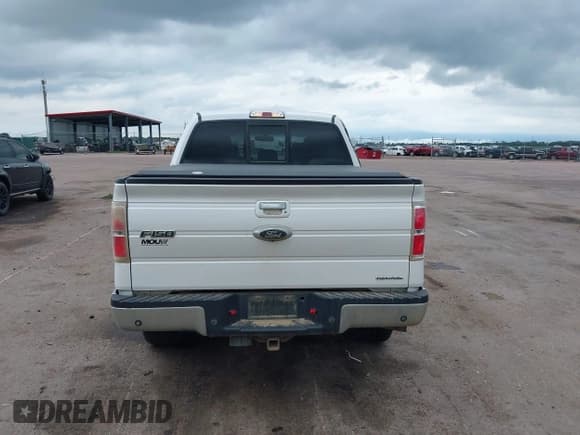 ✅ 2013 Ford F-150 XL • VIN: 1FTFW1EF5DFC88242 • Lot: 42573830. Listed on IAAI with 225,747 mi. Free auction sales archive from the USA and detailed vehicle history report at DreamBid. Image 16.