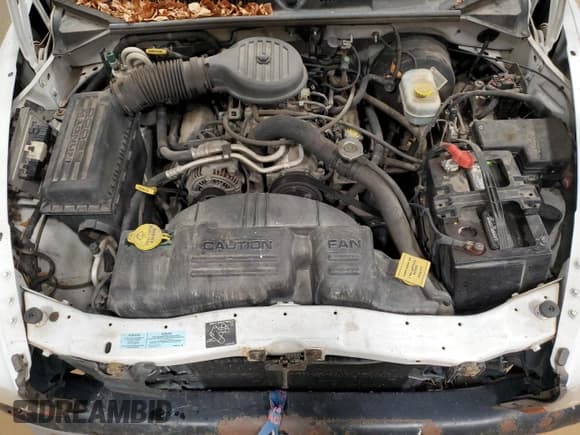 ✅ 2000 Dodge Dakota • VIN: 1B7GL22X7YS686484 • Lot: 76627004. Wystawiony na Copart z przebiegiem 86 083 mil. Bezpłatny archiwum sprzedaży aukcyjnych z USA i szczegółowy raport historii pojazdu na DreamBid. Zdjęcie 11.