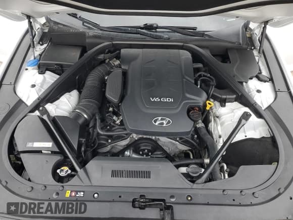 ✅ 2015 Hyundai Genesis 3.8L • VIN: KMHGN4JE7FU084798 • Lot: 44783655. Wystawiony na Copart z przebiegiem 142 800 mil. Bezpłatny archiwum sprzedaży aukcyjnych z USA i szczegółowy raport historii pojazdu na DreamBid. Zdjęcie 11.