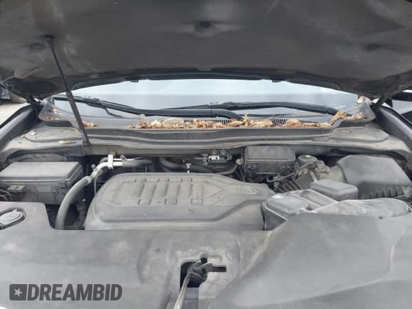 ✅ 2014 Acura MDX Technology • VIN: 5FRYD4H48EB003452 • Лот: 43770034. Опубликован ранее на IAAI с пробегом 221 472 миль. Бесплатный доступ к архиву аукционных продаж из США и подробный отчёт об истории автомобиля на DreamBid. Изображение 10.