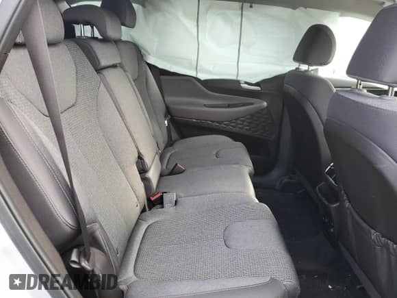 ✅ 2019 Hyundai Santa Fe SE • VIN: 5NMS2CAD2KH117328 • Lot: 38864413. Wystawiony na Copart z przebiegiem 40 968 mil. Bezpłatny archiwum sprzedaży aukcyjnych z USA i szczegółowy raport historii pojazdu na DreamBid. Zdjęcie 11.