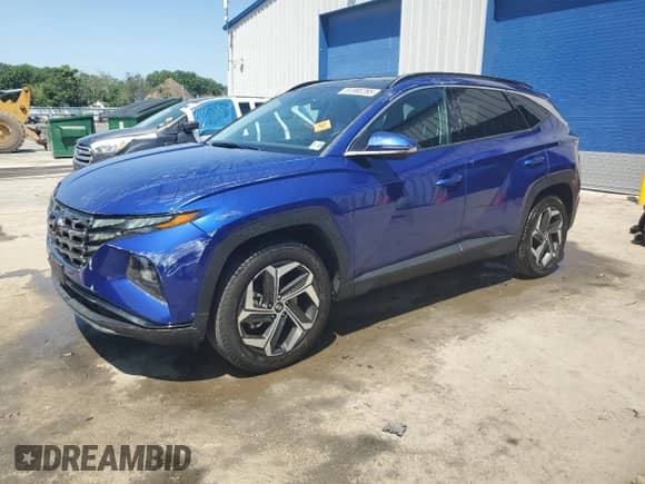 2022 Hyundai Tucson Limited z VIN 5NMJECAE5NH132132, wystawiony jako Copart lot #61995285 z przebiegiem 47 709 mil mil oraz Szkoda całkowita • Salvage title. Historia ofert i sprzedaży dostępna na DreamBid. Obrazek 1.