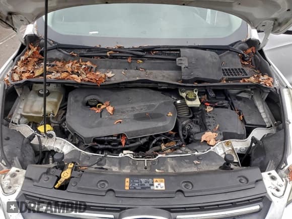 ✅ 2014 Ford Escape SE • VIN: 1FMCU0GX0EUE09664 • Лот: 94677705. Опубликован ранее на Copart с пробегом 199 775 миль. Бесплатный доступ к архиву аукционных продаж из США и подробный отчёт об истории автомобиля на DreamBid. Изображение 12.