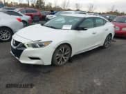 ✅ 2016 Nissan Maxima Platinum • VIN: 1N4AA6AP5GC385246 • Lot: 43568562. Listed on IAAI with 143,702 mi. Free auction sales archive from the USA and detailed vehicle history report at DreamBid. Image 2.