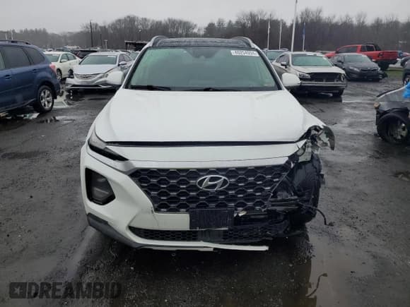 ✅ 2019 Hyundai Santa Fe Ultimate • VIN: 5NMS5CAAXKH110754 • Lot: 40254934. Wystawiony na Copart z przebiegiem 63 678 mil. Bezpłatny archiwum sprzedaży aukcyjnych z USA i szczegółowy raport historii pojazdu na DreamBid. Zdjęcie 5.