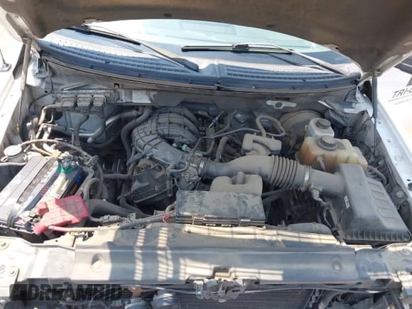 ✅ 2013 Ford F-150 XL • VIN: 1FTMF1CM7DKE66846 • Lot: 42976440. Wystawiony na IAAI z przebiegiem 164 603 mil. Bezpłatny archiwum sprzedaży aukcyjnych z USA i szczegółowy raport historii pojazdu na DreamBid. Zdjęcie 10.