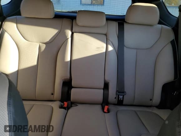 ✅ 2022 Hyundai Santa Fe Limited • VIN: 5NMS4DAL2NH455565 • Lot: 80160773. Wystawiony na Copart z przebiegiem 15 955 mil. Bezpłatny archiwum sprzedaży aukcyjnych z USA i szczegółowy raport historii pojazdu na DreamBid. Zdjęcie 10.