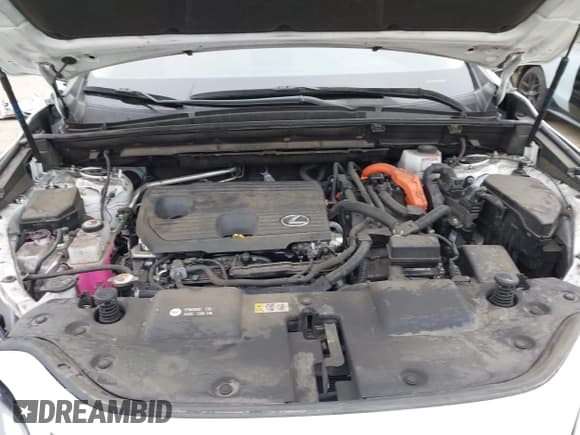 ✅ 2024 Lexus NX 350h • VIN: JTJAKCEZ5R5010740 • Lot: 42455078. Wystawiony na IAAI z przebiegiem 112 381 mil. Bezpłatny archiwum sprzedaży aukcyjnych z USA i szczegółowy raport historii pojazdu na DreamBid. Zdjęcie 10.