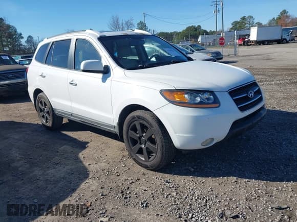 ✅ 2008 Hyundai Santa Fe SE • VIN: 5NMSH13E28H147964 • Lot: 43788666. Listed on IAAI with 162,883 mi. Free auction sales archive from the USA and detailed vehicle history report at DreamBid. Image 1.