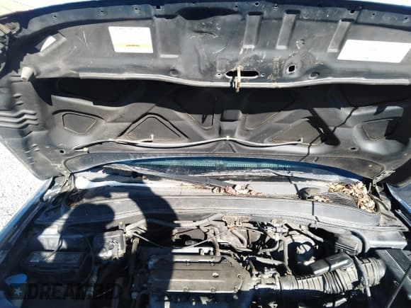 ✅ 2006 Honda Pilot EX-L • VIN: 5FNYF28606B000760 • Лот: 39483099. Опубликован ранее на IAAI с пробегом 190 000 миль. Бесплатный доступ к архиву аукционных продаж из США и подробный отчёт об истории автомобиля на DreamBid. Изображение 10.