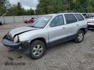 ✅ 2005 Hyundai Santa Fe GLS • VIN: KM8SC13E45U894450 • Lot: 81126475. Listed on Copart with 117,824 mi. Free auction sales archive from the USA and detailed vehicle history report at DreamBid. Image 1.