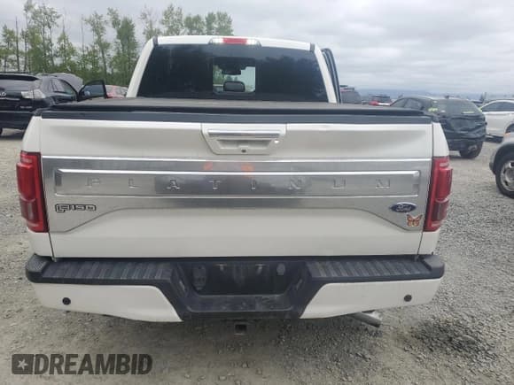 ✅ 2015 Ford F-150 XLT • VIN: 1FTEW1EGXFFC24320 • Lot: 54869665. Listed on Copart with 131,373 mi. Free auction sales archive from the USA and detailed vehicle history report at DreamBid. Image 6.
