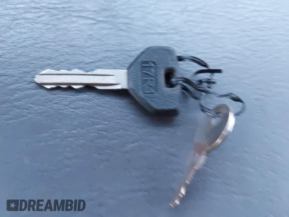 ✅ 1998 Dodge 1500 • VIN: 3B7HF13Y8WG169552 • Lot: 43569070. Wystawiony na IAAI z przebiegiem Nie podano. Bezpłatny archiwum sprzedaży aukcyjnych z USA i szczegółowy raport historii pojazdu na DreamBid. Zdjęcie 11.