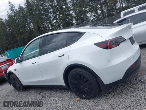 ✅ 2023 Tesla Model Y Long Range • VIN: 7SAYGAEEXPF647352 • Lot: 41955933. Listed on IAAI with Not provided. Free auction sales archive from the USA and detailed vehicle history report at DreamBid. Image 15.