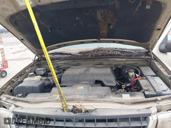 ✅ 2002 Ford Explorer XLT • VIN: 1FMZU73W22ZB31686 • Лот: 43740536. Опубликован ранее на IAAI с пробегом 154 100 миль. Бесплатный доступ к архиву аукционных продаж из США и подробный отчёт об истории автомобиля на DreamBid. Изображение 10.