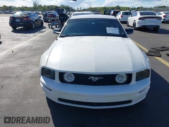 ✅ 2005 Ford Mustang GT Deluxe • VIN: 1ZVHT82H255233669 • Лот: 43479285. Опубликован ранее на IAAI с пробегом 245 239 миль. Бесплатный доступ к архиву аукционных продаж из США и подробный отчёт об истории автомобиля на DreamBid. Изображение 11.