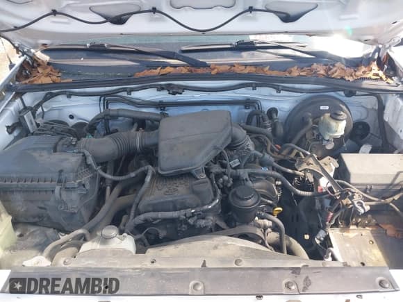 ✅ 2013 Toyota Tacoma • VIN: 5TFNX4CN0DX024702 • Lot: 41844889. Wystawiony na IAAI z przebiegiem 119 581 mil. Bezpłatny archiwum sprzedaży aukcyjnych z USA i szczegółowy raport historii pojazdu na DreamBid. Zdjęcie 10.