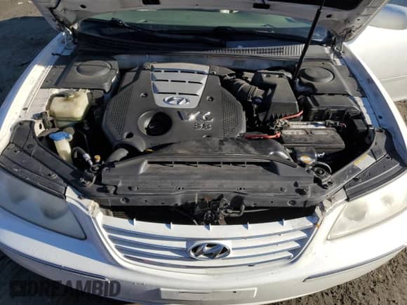 2006 Hyundai Azera SE z VIN KMHFC46F66A080018, wystawiony jako Copart lot #42704345 z przebiegiem 173 102 mil mil oraz Szkoda całkowita • Salvage title. Historia ofert i sprzedaży dostępna na DreamBid. Obrazek 11.