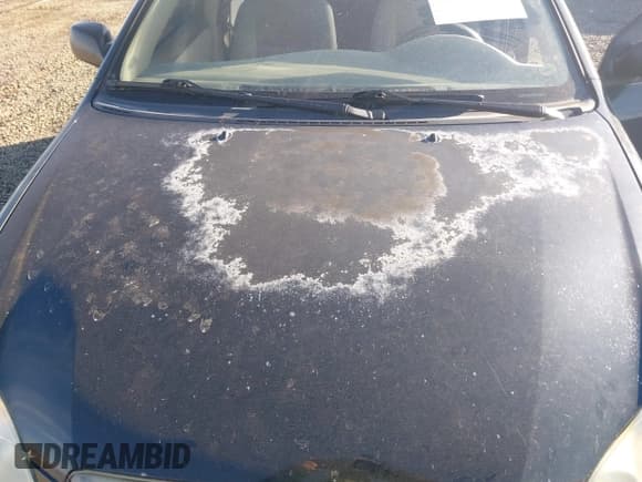 ✅ 2003 Toyota Corolla LE • VIN: 1NXBR32E93Z002458 • Lot: 43745683. Wystawiony na IAAI z przebiegiem 206 250 mil. Bezpłatny archiwum sprzedaży aukcyjnych z USA i szczegółowy raport historii pojazdu na DreamBid. Zdjęcie 6.