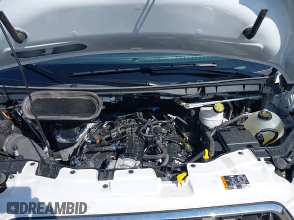 ✅ 2024 Ford Transit Passenger XL • VIN: 1FBAX2YG4RKA02384 • Lot: 41924074. Wystawiony na IAAI z przebiegiem 30 122 mil. Bezpłatny archiwum sprzedaży aukcyjnych z USA i szczegółowy raport historii pojazdu na DreamBid. Zdjęcie 10.