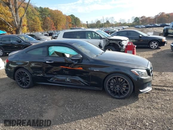 ✅ 2018 Mercedes-Benz C 43 AMG • VIN: WDDWJ6EBXJF688291 • Lot: 43600221. Listed on IAAI with 80,568 mi. Free auction sales archive from the USA and detailed vehicle history report at DreamBid. Image 13.