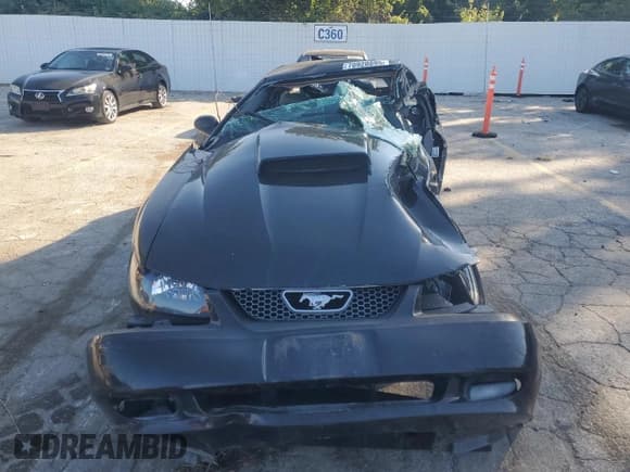 ✅ 2004 Ford Mustang GT Deluxe • VIN: 1FAFP42X94F126647 • Lot: 70920895. Wystawiony na Copart z przebiegiem Nie podano. Bezpłatny archiwum sprzedaży aukcyjnych z USA i szczegółowy raport historii pojazdu na DreamBid. Zdjęcie 5.
