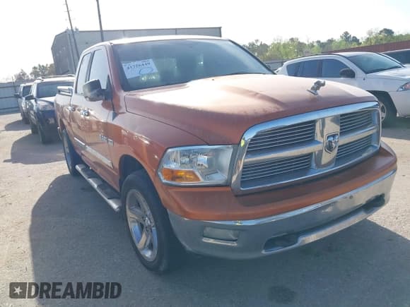 ✅ 2010 Dodge 1500 SLT • VIN: 1D7RB1GT9AS169310 • Lot: 41726449. Wystawiony na IAAI z przebiegiem 244 405 mil. Bezpłatny archiwum sprzedaży aukcyjnych z USA i szczegółowy raport historii pojazdu na DreamBid. Zdjęcie 1.