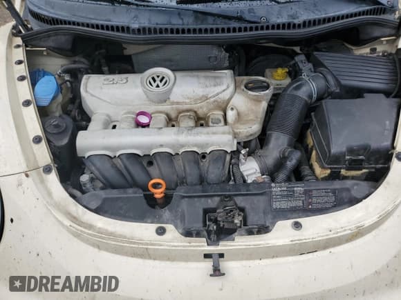 ✅ 2008 Volkswagen Beetle S • VIN: 3VWPW31C78M525117 • Lot: 81282195. Listed on Copart with 267,732 mi. Free auction sales archive from the USA and detailed vehicle history report at DreamBid. Image 11.