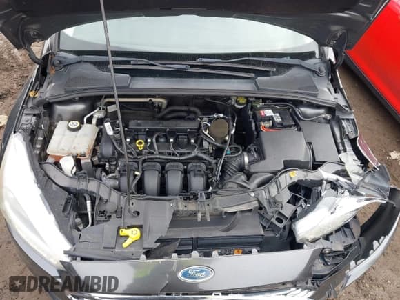 ✅ 2016 Ford Focus SE • VIN: 1FADP3F23GL217564 • Lot: 43754051. Wystawiony na IAAI z przebiegiem 137 951 mil. Bezpłatny archiwum sprzedaży aukcyjnych z USA i szczegółowy raport historii pojazdu na DreamBid. Zdjęcie 10.