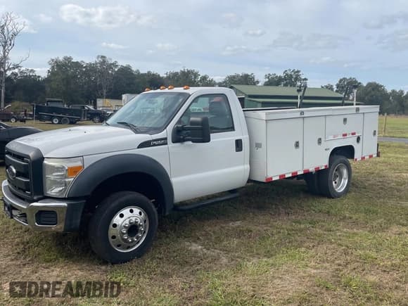 ✅ 2016 Ford F-550 XL • VIN: 1FDUF5GY3GEB54493 • Lot: 81772304. Listed on Copart with 258,961 mi. Free auction sales archive from the USA and detailed vehicle history report at DreamBid. Image 2.