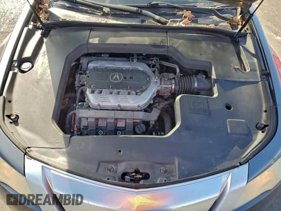 ✅ 2009 Acura TL Technology • VIN: 19UUA86599A026301 • Lot: 94779935. Wystawiony na Copart z przebiegiem 250 491 mil. Bezpłatny archiwum sprzedaży aukcyjnych z USA i szczegółowy raport historii pojazdu na DreamBid. Zdjęcie 11.