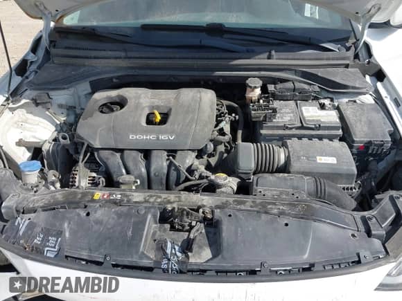 2018 Hyundai Elantra SEL z VIN 5NPD84LF9JH291801, wystawiony jako IAAI lot #43436156 z przebiegiem 81 241 mil mil oraz . Historia ofert i sprzedaży dostępna na DreamBid. Obrazek 10.