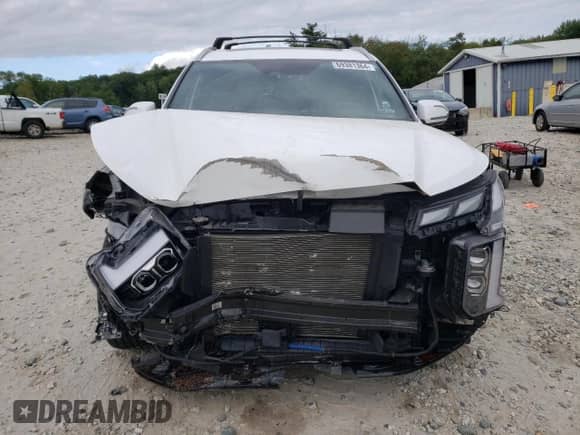 2023 Hyundai Palisade Calligraphy with VIN KM8R7DGE9PU530588, listed as a Copart auction lot 69381364 with 29,752 mi miles and Salvage title. Bid and sale history available at DreamBid. Image 5.